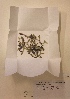  ( - H688879)  @11 [ ] Unspecified (default): All Rights Reserved  Unspecified Unspecified