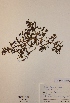  ( - H689908)  @11 [ ] Unspecified (default): All Rights Reserved  Unspecified Unspecified