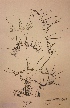  ( - H694042)  @11 [ ] Unspecified (default): All Rights Reserved  Unspecified Unspecified