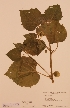  ( - H696343)  @11 [ ] Unspecified (default): All Rights Reserved  Unspecified Unspecified