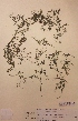  ( - H696808)  @11 [ ] Unspecified (default): All Rights Reserved  Unspecified Unspecified
