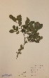 ( - H700406)  @11 [ ] Unspecified (default): All Rights Reserved  Unspecified Unspecified