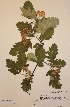  ( - H703388)  @11 [ ] Unspecified (default): All Rights Reserved  Unspecified Unspecified