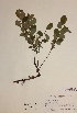  ( - H705312)  @11 [ ] Unspecified (default): All Rights Reserved  Unspecified Unspecified