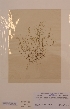  ( - H709579)  @11 [ ] Unspecified (default): All Rights Reserved  Unspecified Unspecified