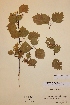  ( - H718264)  @11 [ ] Unspecified (default): All Rights Reserved  Unspecified Unspecified