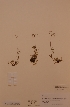  ( - H720026)  @11 [ ] Unspecified (default): All Rights Reserved  Unspecified Unspecified