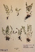  ( - H720679)  @11 [ ] Unspecified (default): All Rights Reserved  Unspecified Unspecified