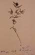  ( - H720810)  @11 [ ] Unspecified (default): All Rights Reserved  Unspecified Unspecified