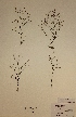  ( - H727330)  @11 [ ] Unspecified (default): All Rights Reserved  Unspecified Unspecified