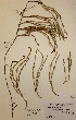  ( - H733055)  @11 [ ] Unspecified (default): All Rights Reserved  Unspecified Unspecified