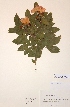  ( - H733340)  @11 [ ] Unspecified (default): All Rights Reserved  Unspecified Unspecified