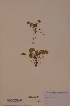  ( - H733784)  @11 [ ] Unspecified (default): All Rights Reserved  Unspecified Unspecified