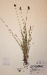  ( - H747025)  @11 [ ] Unspecified (default): All Rights Reserved  Unspecified Unspecified