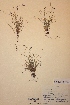  ( - H762975)  @11 [ ] Unspecified (default): All Rights Reserved  Unspecified Unspecified