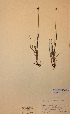 ( - H764571)  @11 [ ] Unspecified (default): All Rights Reserved  Unspecified Unspecified