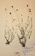  ( - H766657)  @11 [ ] Unspecified (default): All Rights Reserved  Unspecified Unspecified