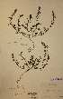  ( - H789070)  @11 [ ] Unspecified (default): All Rights Reserved  Unspecified Unspecified