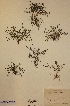  ( - H792840)  @11 [ ] Unspecified (default): All Rights Reserved  Unspecified Unspecified