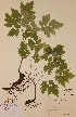  ( - H797728)  @11 [ ] Unspecified (default): All Rights Reserved  Unspecified Unspecified