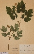  ( - H797770)  @11 [ ] Unspecified (default): All Rights Reserved  Unspecified Unspecified
