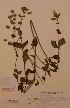  ( - H800798)  @11 [ ] Unspecified (default): All Rights Reserved  Unspecified Unspecified