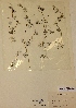  ( - H801852)  @11 [ ] Unspecified (default): All Rights Reserved  Unspecified Unspecified