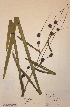  ( - H805504)  @11 [ ] Unspecified (default): All Rights Reserved  Unspecified Unspecified