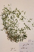  ( - H806364)  @11 [ ] Unspecified (default): All Rights Reserved  Unspecified Unspecified