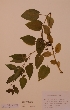  ( - H806582)  @11 [ ] Unspecified (default): All Rights Reserved  Unspecified Unspecified