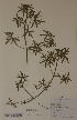  ( - H807393)  @11 [ ] Unspecified (default): All Rights Reserved  Unspecified Unspecified