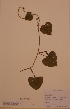  ( - H808274)  @11 [ ] Unspecified (default): All Rights Reserved  Unspecified Unspecified