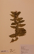  ( - H810589)  @11 [ ] Unspecified (default): All Rights Reserved  Unspecified Unspecified