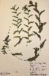  ( - H811520)  @11 [ ] Unspecified (default): All Rights Reserved  Unspecified Unspecified