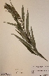 ( - H811829)  @11 [ ] Unspecified (default): All Rights Reserved  Unspecified Unspecified