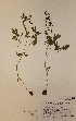  ( - H812053)  @11 [ ] Unspecified (default): All Rights Reserved  Unspecified Unspecified