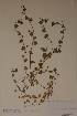  ( - H812491)  @11 [ ] Unspecified (default): All Rights Reserved  Unspecified Unspecified