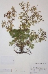  ( - H812677)  @11 [ ] Unspecified (default): All Rights Reserved  Unspecified Unspecified