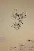  ( - H812736)  @11 [ ] Unspecified (default): All Rights Reserved  Unspecified Unspecified