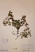  ( - H817504)  @11 [ ] Unspecified (default): All Rights Reserved  Unspecified Unspecified