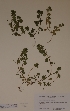  ( - H817979)  @11 [ ] Unspecified (default): All Rights Reserved  Unspecified Unspecified