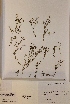  ( - H818109)  @11 [ ] Unspecified (default): All Rights Reserved  Unspecified Unspecified