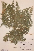  ( - H818922)  @11 [ ] Unspecified (default): All Rights Reserved  Unspecified Unspecified