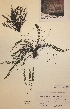  ( - H819534)  @11 [ ] Unspecified (default): All Rights Reserved  Unspecified Unspecified