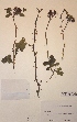  ( - H820010)  @11 [ ] Unspecified (default): All Rights Reserved  Unspecified Unspecified