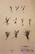  ( - H821842)  @11 [ ] Unspecified (default): All Rights Reserved  Unspecified Unspecified