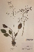  ( - H822321)  @11 [ ] Unspecified (default): All Rights Reserved  Unspecified Unspecified