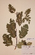  ( - H825004)  @11 [ ] Unspecified (default): All Rights Reserved  Unspecified Unspecified