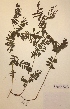  ( - H826398)  @11 [ ] Unspecified (default): All Rights Reserved  Unspecified Unspecified