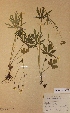  ( - KYM007897)  @11 [ ] Unspecified (default): All Rights Reserved  Unspecified Unspecified